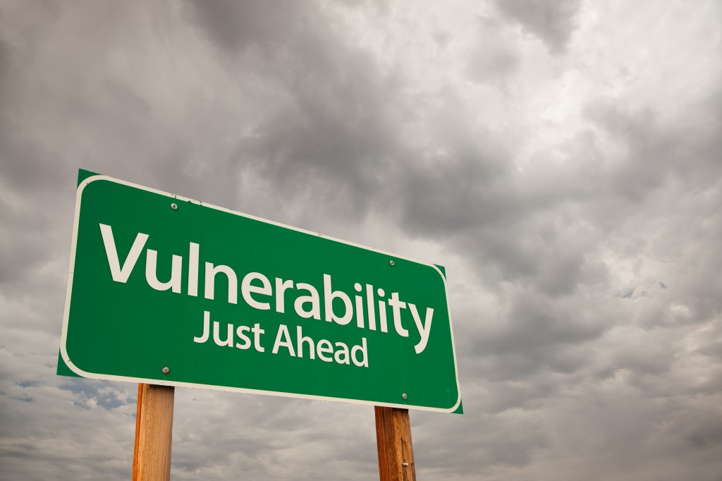 http://gapcommunity.com/wp-content/uploads/2013/11/Vulnerability-Just-Ahead.jpg